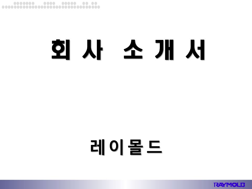 레이몰드 회사소개서